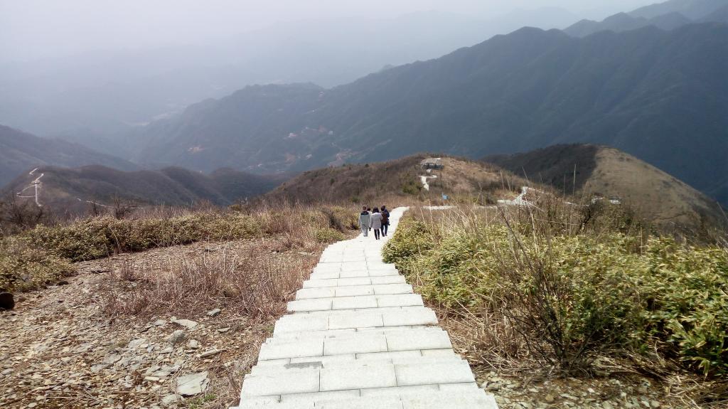 十里杜鹃下山路