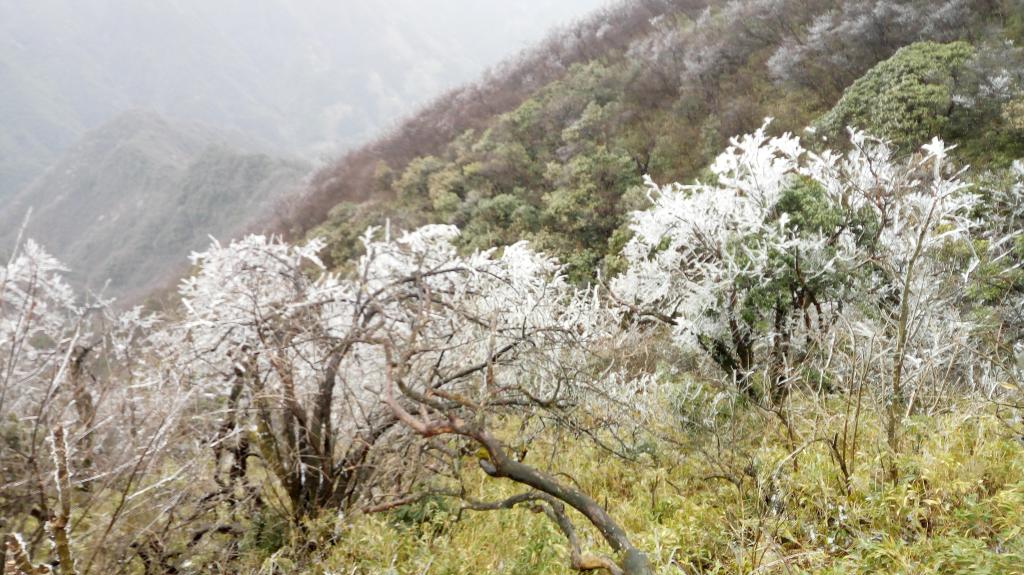 山顶雾凇