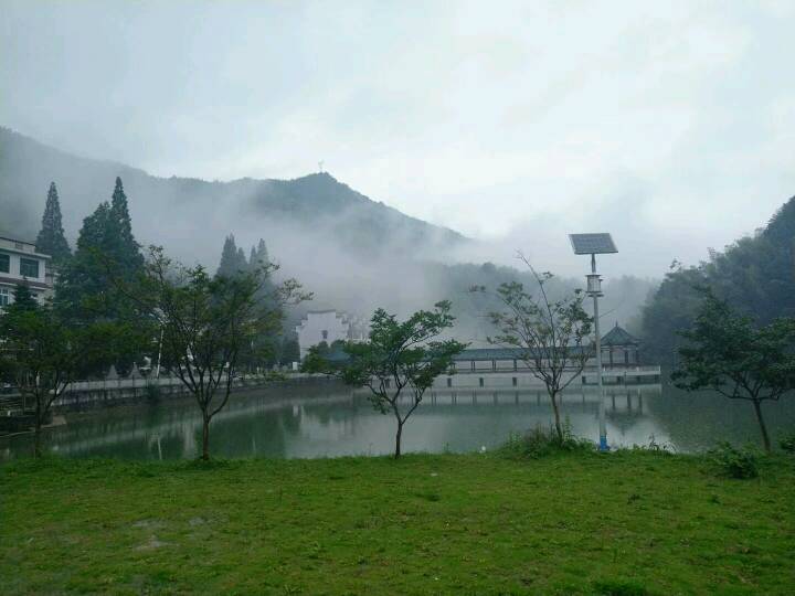 参观仙气缭绕的龙山林场