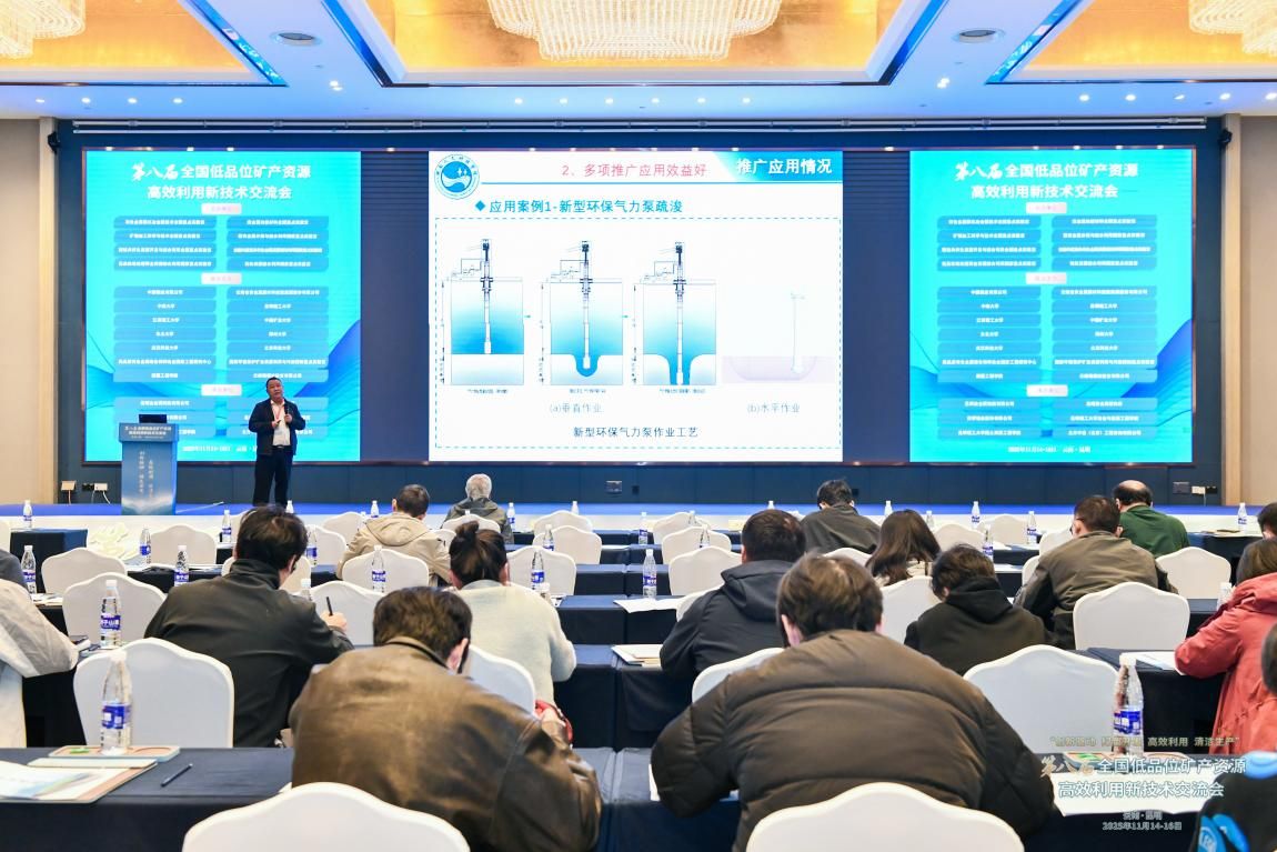 我校教师参加第八届全国低品位矿产资源高效利用新技术交流会