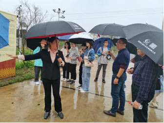 张经理讲解有机水稻