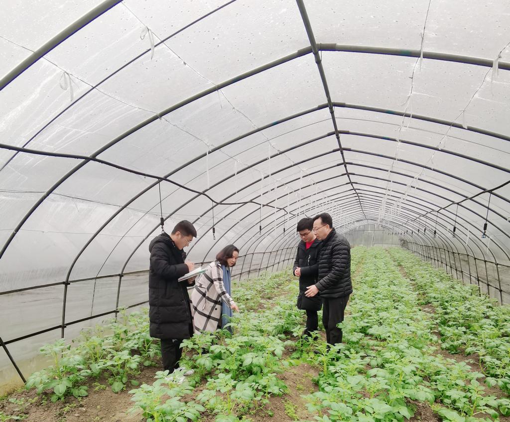 图为石潇纯、杨金含在泗元家庭农场种植基地进行现场教学