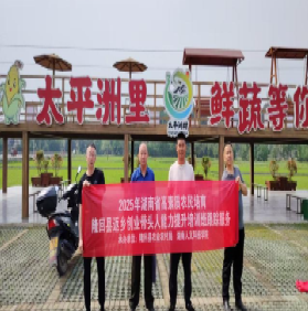 科技创新启于思  活力创业践于行－隆回县返乡创业带头人能力提升培训班跟踪服务系列报道之二