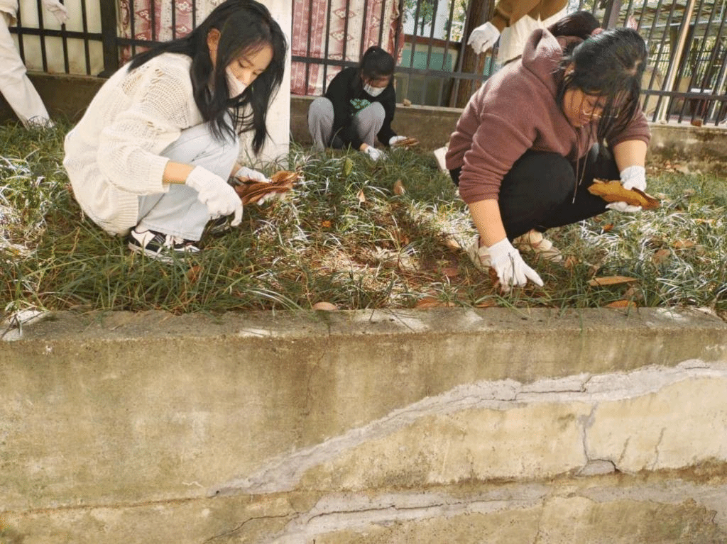 同学们正在清理落叶和白色垃圾