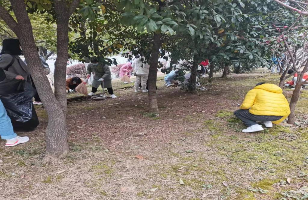 同学们在捡拾落叶