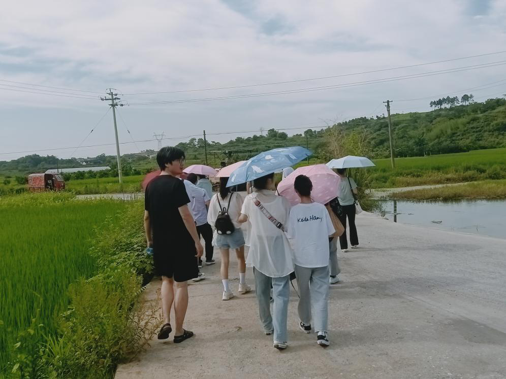 图二 考察团队对试验田进行参观