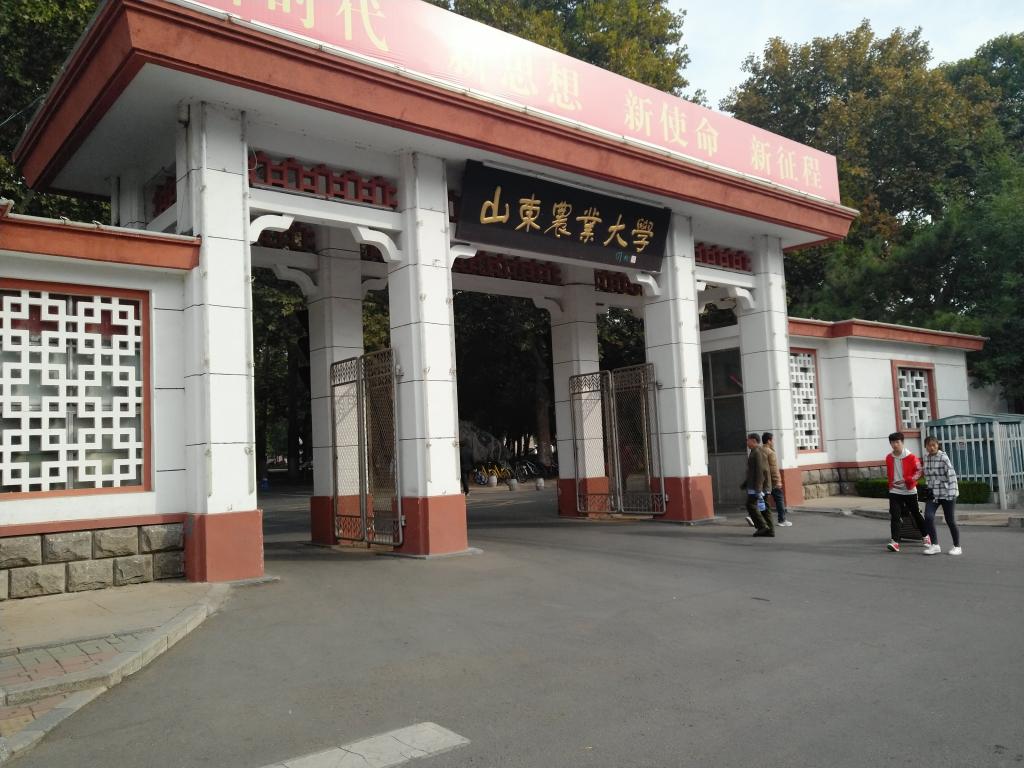 山东农业大学大门图片图片